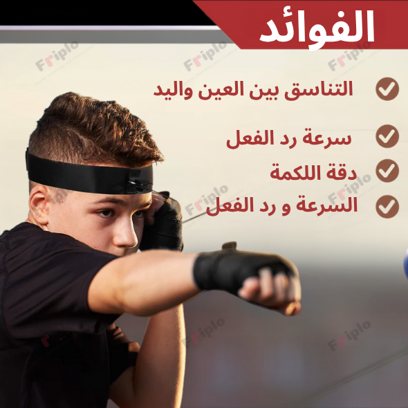 كرة الملاكمة الإرتدادية