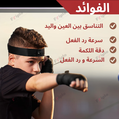 كرة الملاكمة الإرتدادية
